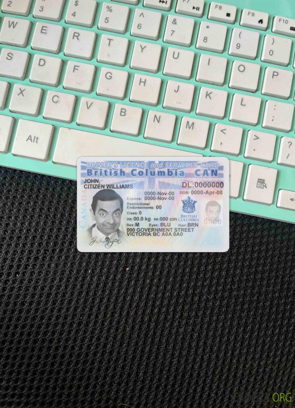 Canada province Colombie Britannique permis de conduire photolook AVANT